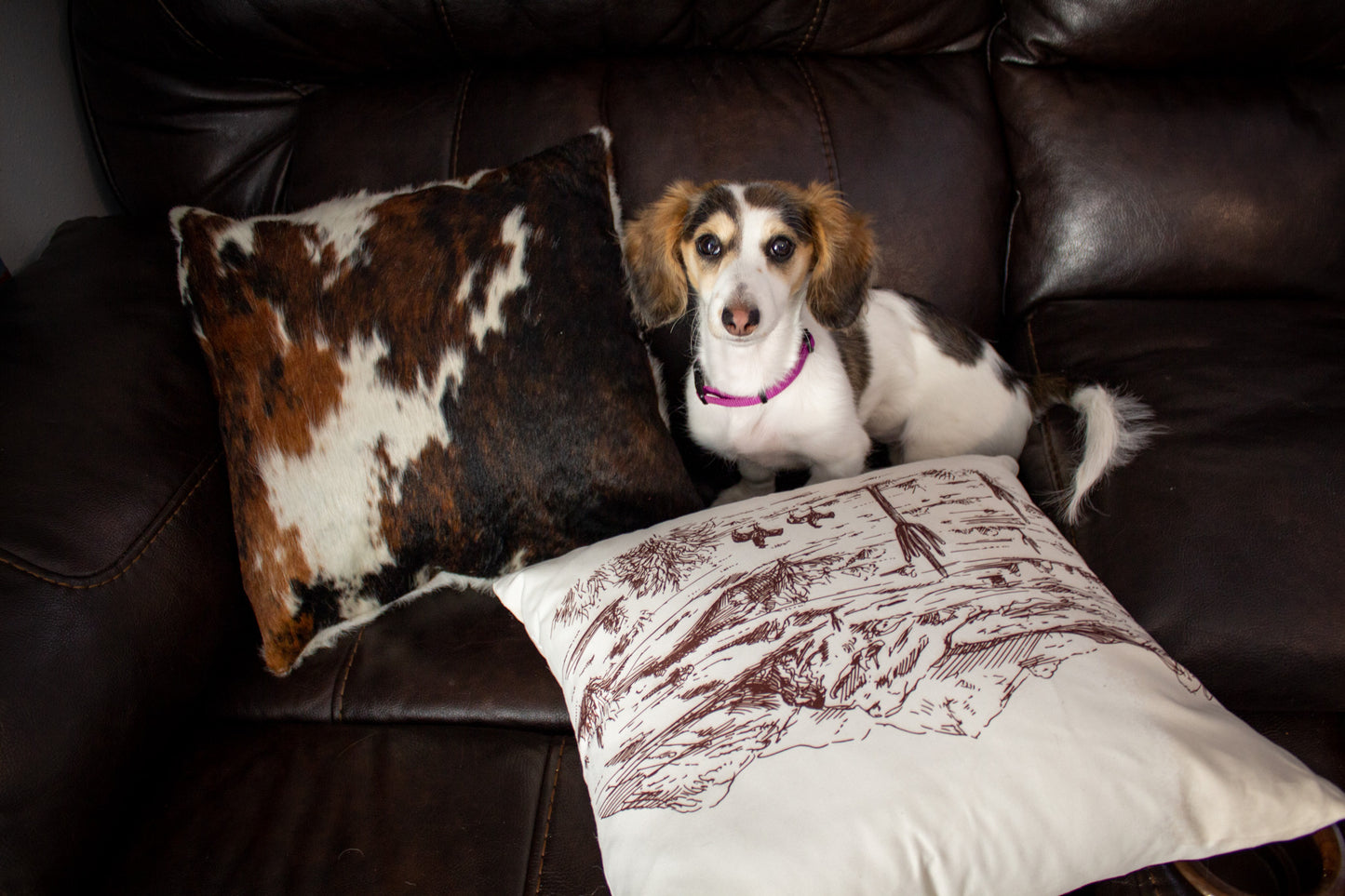 Cowhide Throw Pillow Cover