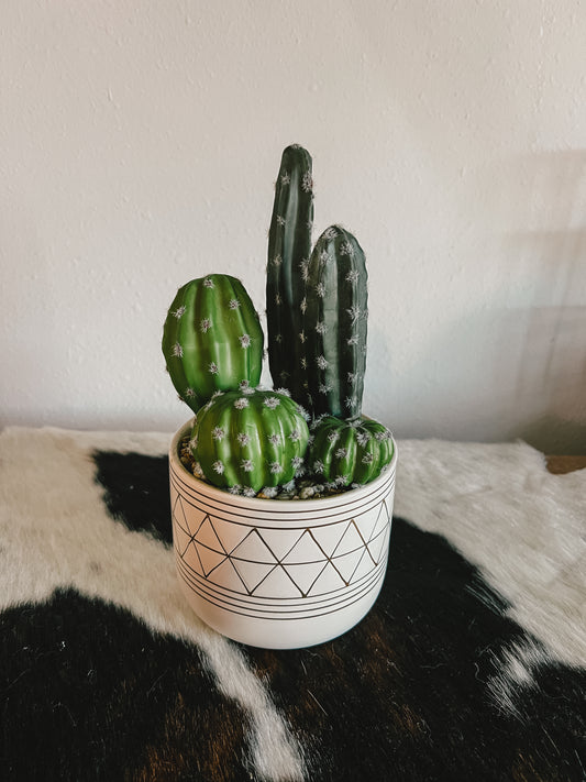 9" Faux Cactus