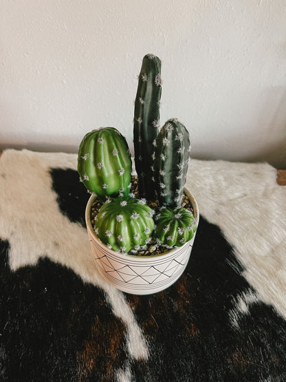 9" Faux Cactus